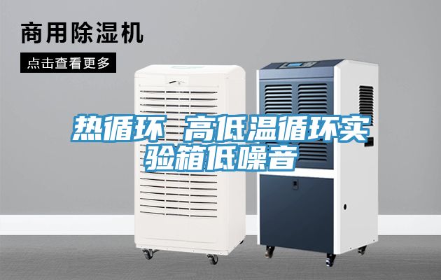熱循環(huán) 高低溫循環(huán)實(shí)驗箱低噪音