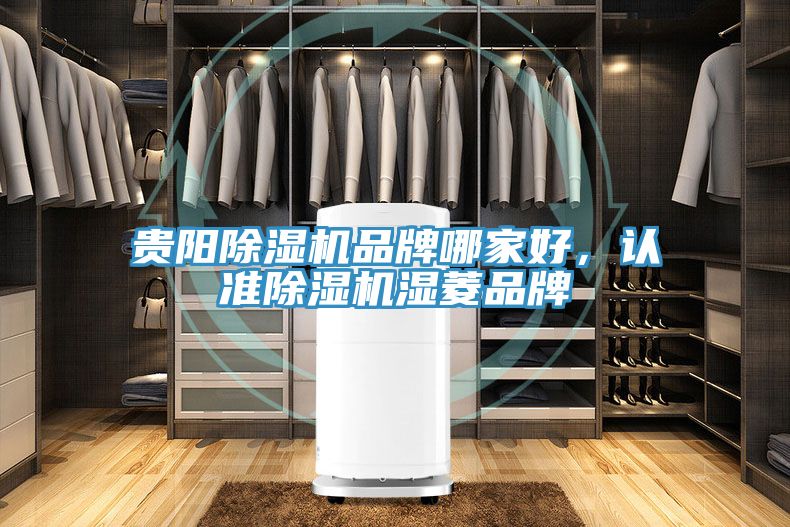 貴陽(yáng)除濕機品牌哪家好，認準除濕機濕菱品牌
