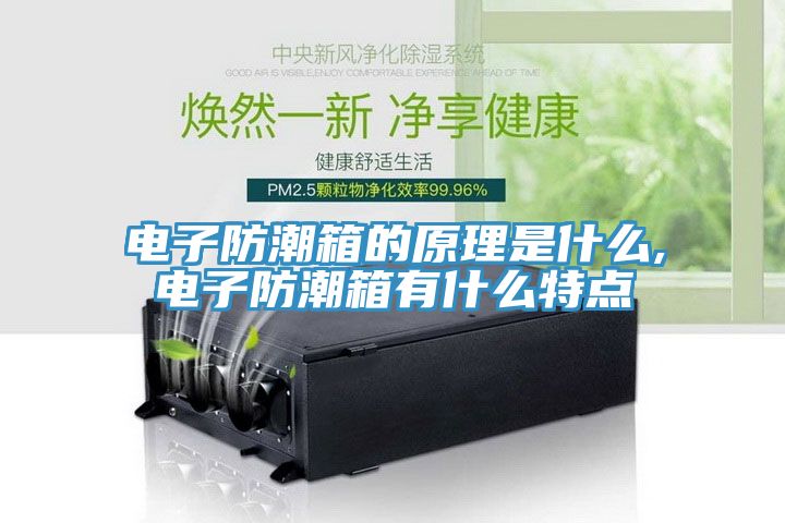 電子防潮箱的原理是什么,電子防潮箱有什么特點(diǎn)