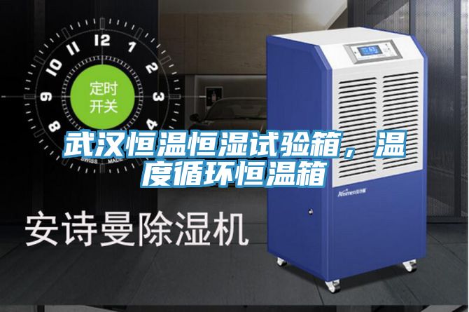 武漢恒溫恒濕試驗箱，溫度循環(huán)恒溫箱