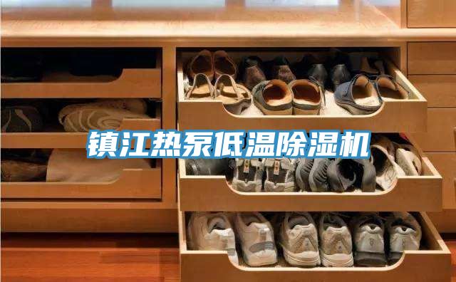 鎮江熱泵低溫除濕機