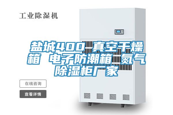 鹽城400℃真空干燥箱 電子防潮箱 氮氣除濕柜廠(chǎng)家