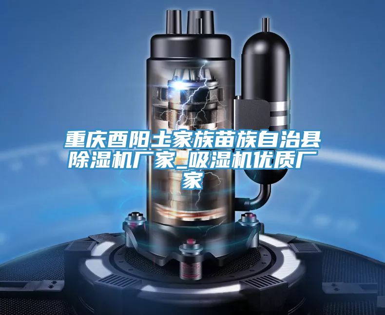 重慶酉陽(yáng)土家族苗族自治縣除濕機廠(chǎng)家_吸濕機優(yōu)質(zhì)廠(chǎng)家