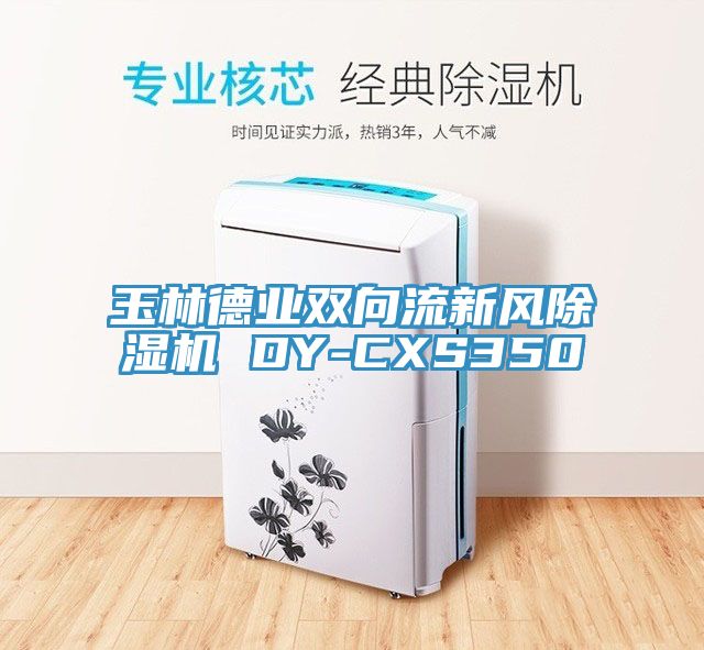 玉林德業(yè)雙向流新風(fēng)除濕機 DY-CXS350
