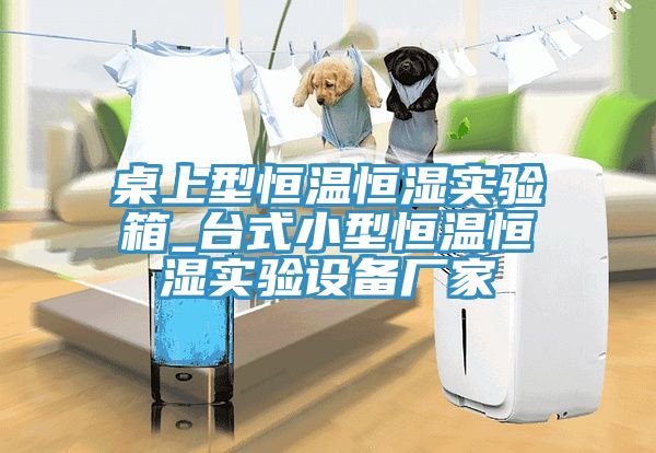 桌上型恒溫恒濕實(shí)驗箱_臺式小型恒溫恒濕實(shí)驗設備廠(chǎng)家