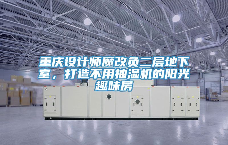 重慶設計師魔改負二層地下室，打造不用抽濕機的陽(yáng)光趣味房