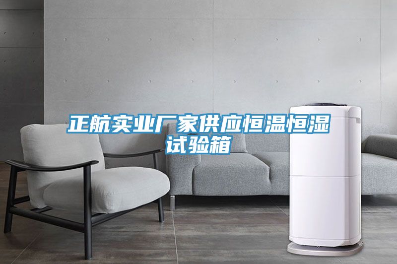 正航實(shí)業(yè)廠(chǎng)家供應恒溫恒濕試驗箱