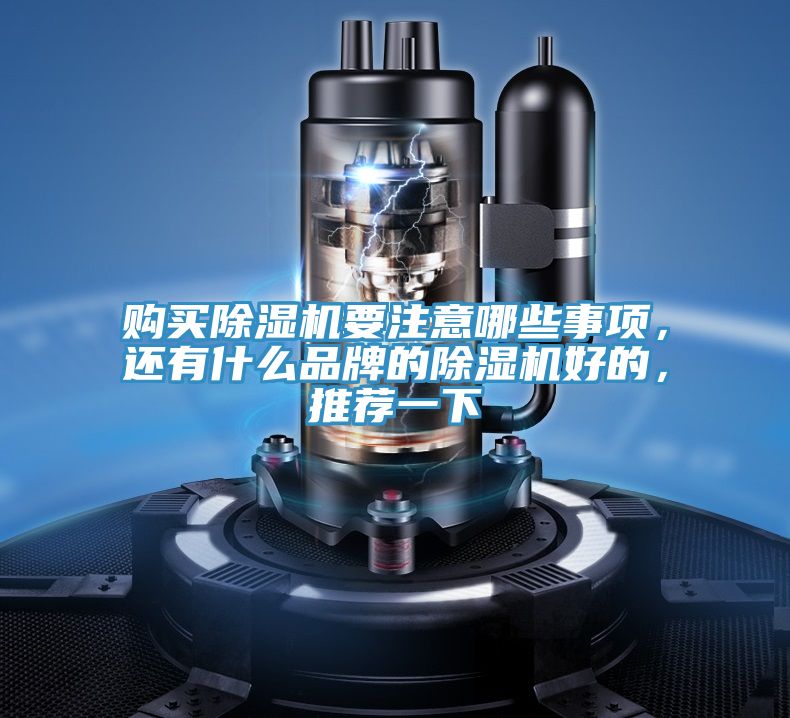 購買(mǎi)除濕機要注意哪些事項，還有什么品牌的除濕機好的，推薦一下