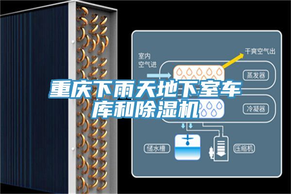 重慶下雨天地下室車(chē)庫和除濕機