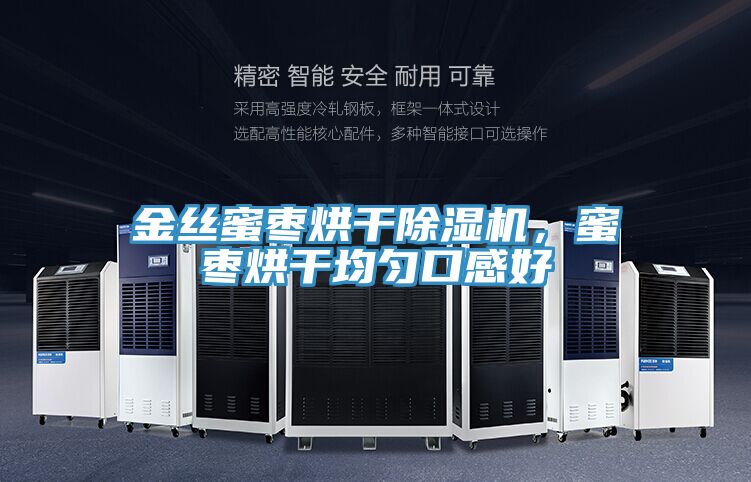 金絲蜜棗烘干除濕機，蜜棗烘干均勻口感好