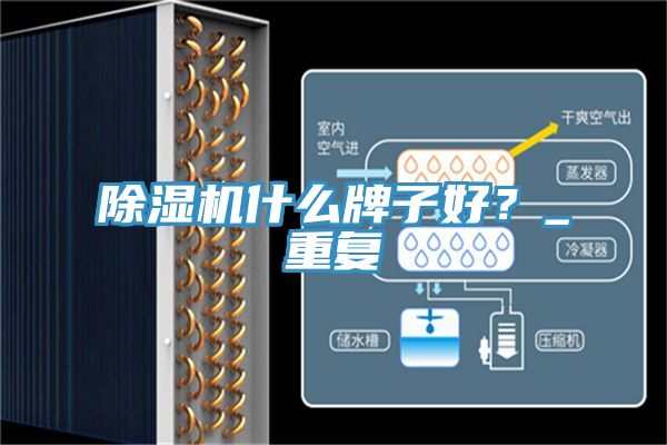 除濕機什么牌子好？_重復