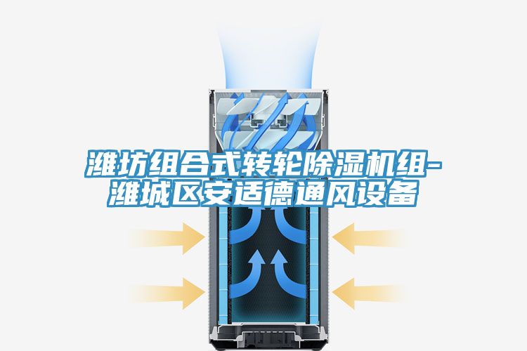 濰坊組合式轉輪除濕機組-濰城區安適德通風(fēng)設備