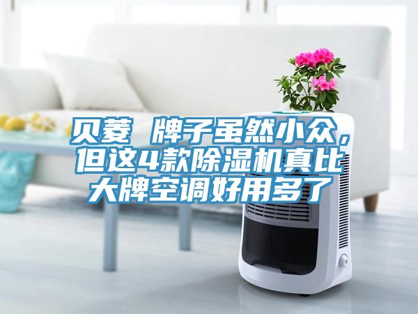 貝菱 牌子雖然小眾，但這4款除濕機真比大牌空調好用多了