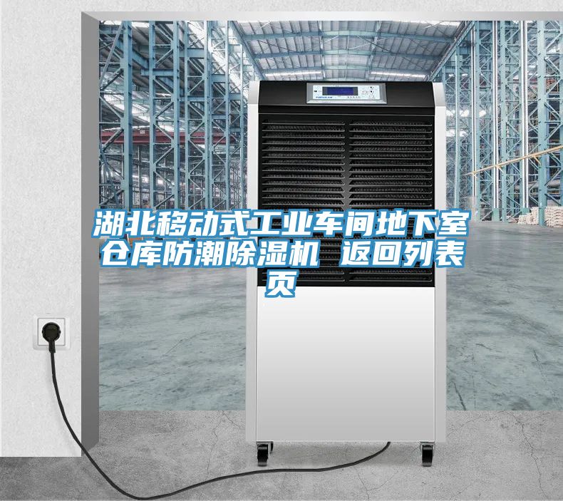 湖北移動(dòng)式工業(yè)車(chē)間地下室倉庫防潮除濕機 返回列表頁(yè)