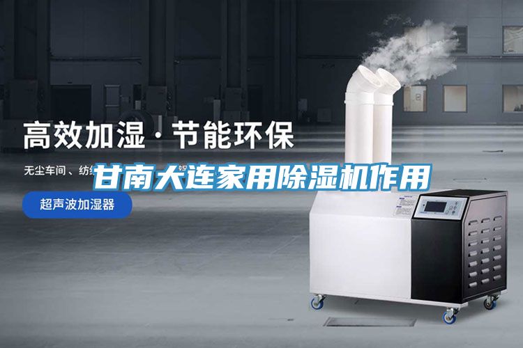 甘南大連家用除濕機作用