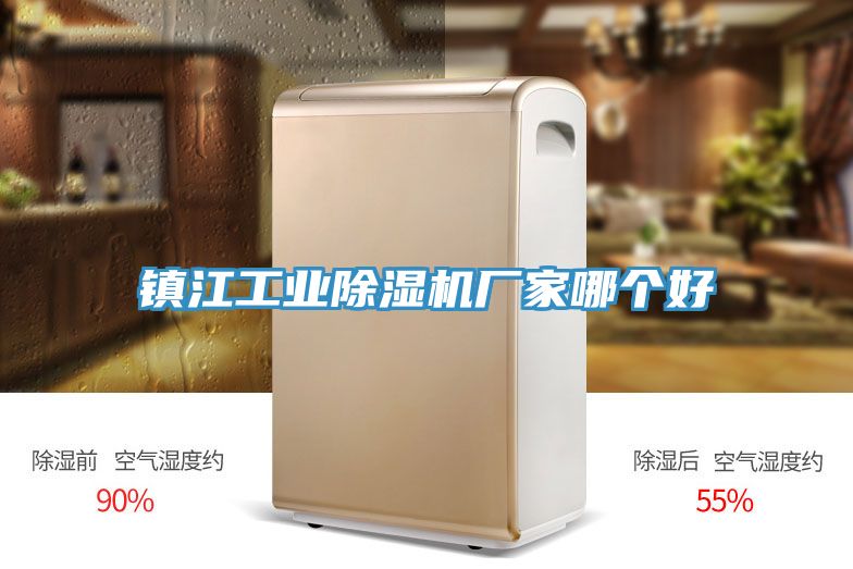 鎮江工業(yè)除濕機廠(chǎng)家哪個(gè)好