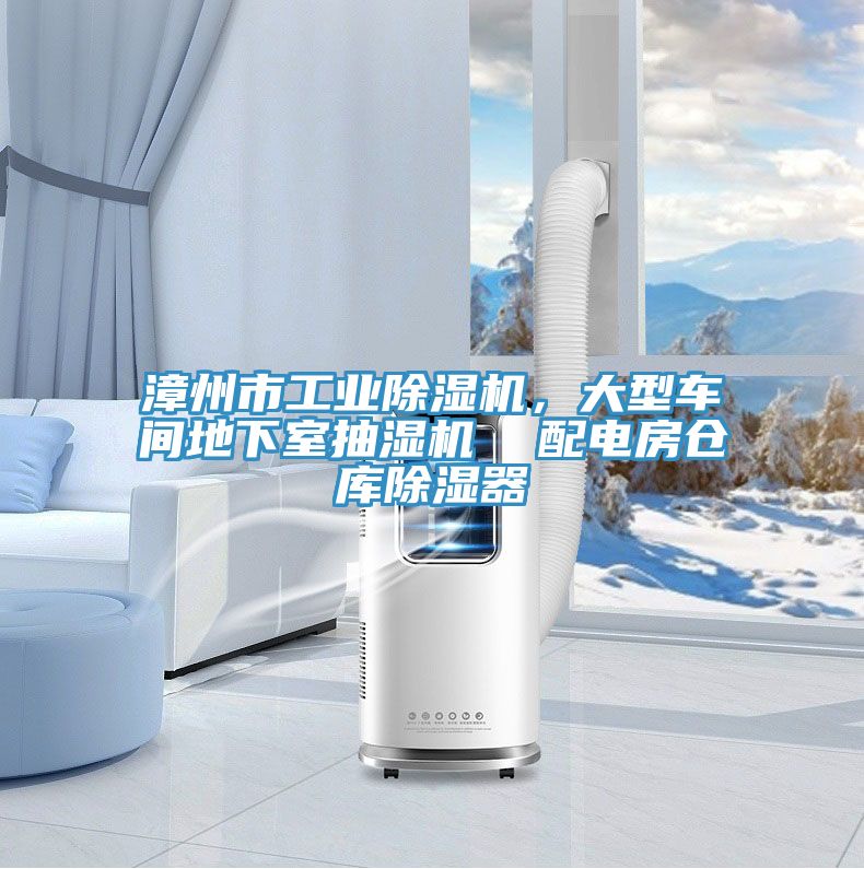 漳州市工業(yè)除濕機，大型車(chē)間地下室抽濕機  配電房倉庫除濕器