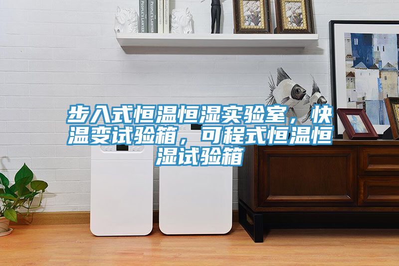步入式恒溫恒濕實(shí)驗室，快溫變試驗箱，可程式恒溫恒濕試驗箱