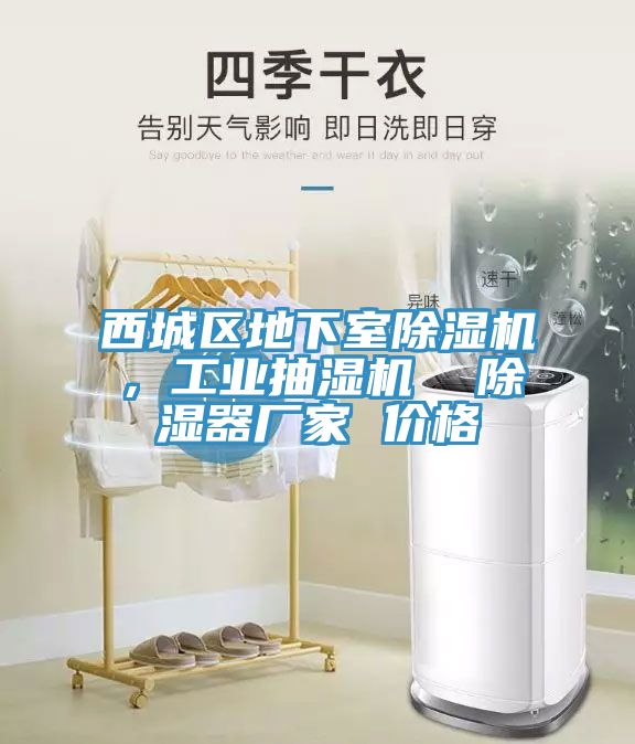 西城區地下室除濕機，工業(yè)抽濕機  除濕器廠(chǎng)家 價(jià)格