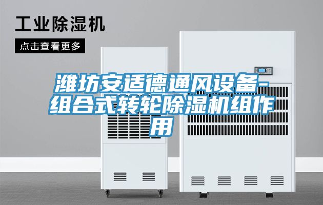 濰坊安適德通風(fēng)設備-組合式轉輪除濕機組作用