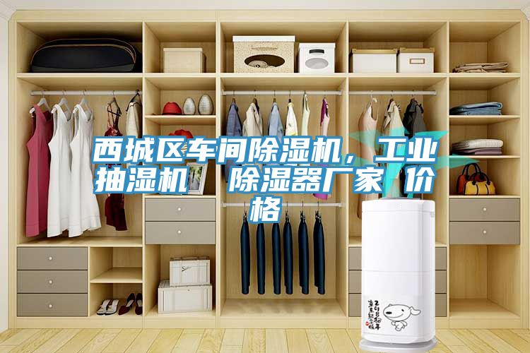 西城區車(chē)間除濕機，工業(yè)抽濕機  除濕器廠(chǎng)家 價(jià)格