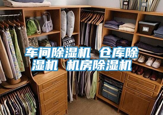 車(chē)間除濕機 倉庫除濕機 機房除濕機