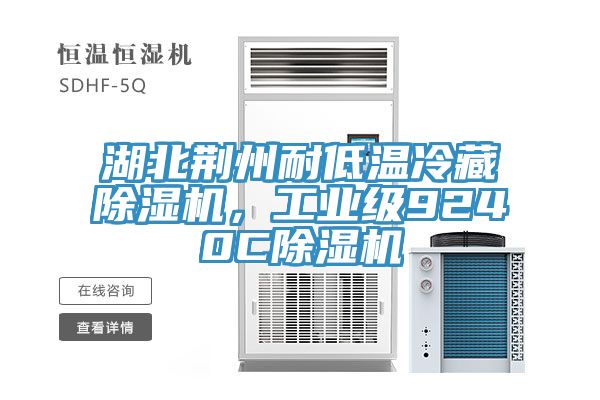湖北荊州耐低溫冷藏除濕機，工業(yè)級9240C除濕機