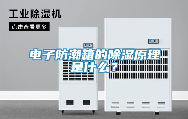電子防潮箱的除濕原理是什么？