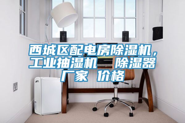 西城區配電房除濕機，工業(yè)抽濕機  除濕器廠(chǎng)家 價(jià)格