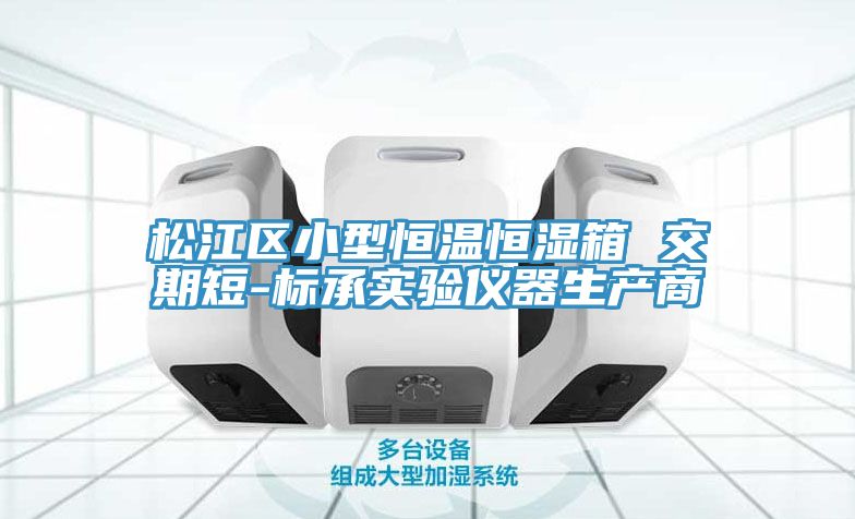 松江區小型恒溫恒濕箱 交期短-標承實(shí)驗儀器生產(chǎn)商