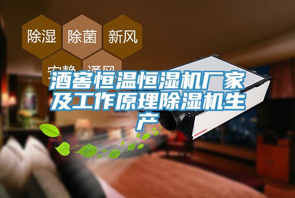 酒窖恒溫恒濕機廠(chǎng)家及工作原理除濕機生產(chǎn)