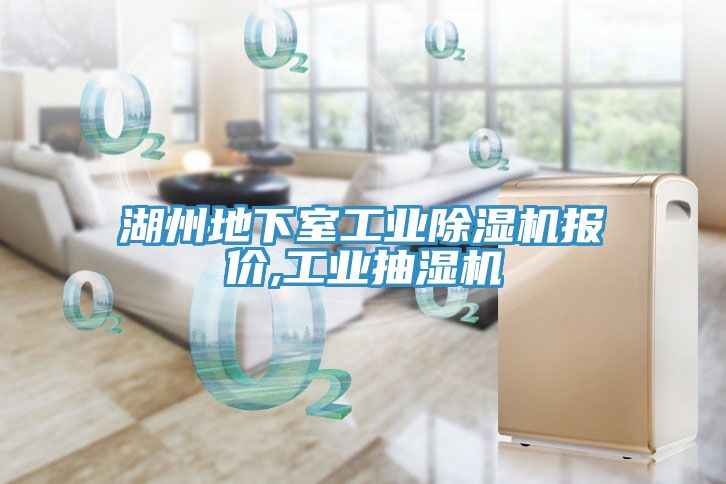 湖州地下室工業(yè)除濕機報價(jià),工業(yè)抽濕機