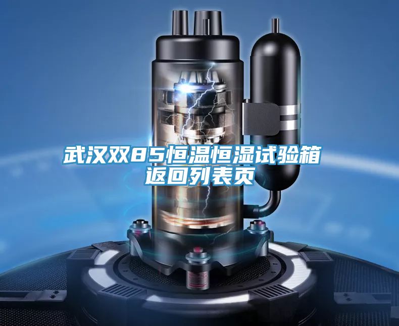 武漢雙85恒溫恒濕試驗箱 返回列表頁(yè)