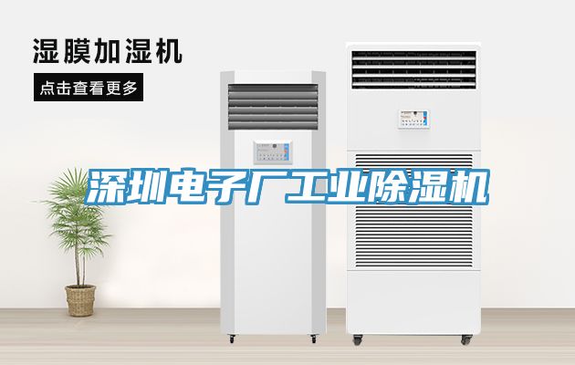 深圳電子廠(chǎng)工業(yè)除濕機