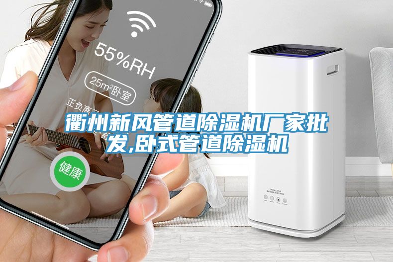 衢州新風(fēng)管道除濕機廠(chǎng)家批發(fā),臥式管道除濕機
