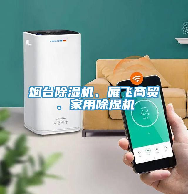 煙臺除濕機、雁飛商貿、家用除濕機