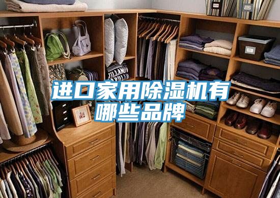 進(jìn)口家用除濕機有哪些品牌