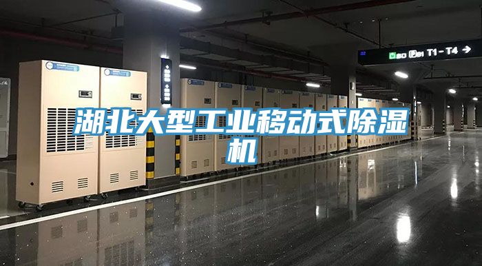 湖北大型工業(yè)移動(dòng)式除濕機
