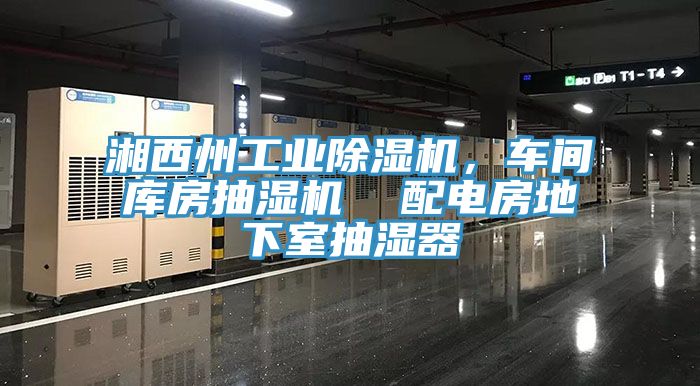 湘西州工業(yè)除濕機，車(chē)間庫房抽濕機  配電房地下室抽濕器