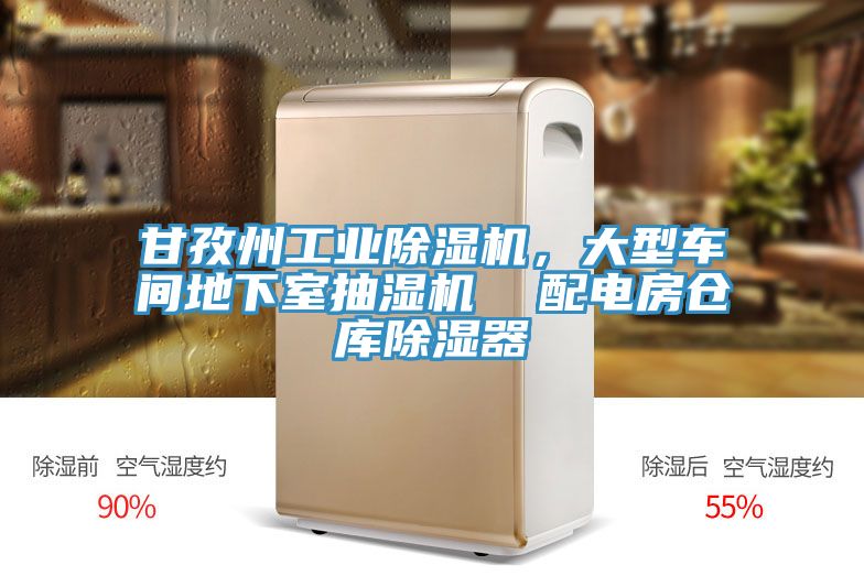 甘孜州工業(yè)除濕機，大型車(chē)間地下室抽濕機  配電房倉庫除濕器