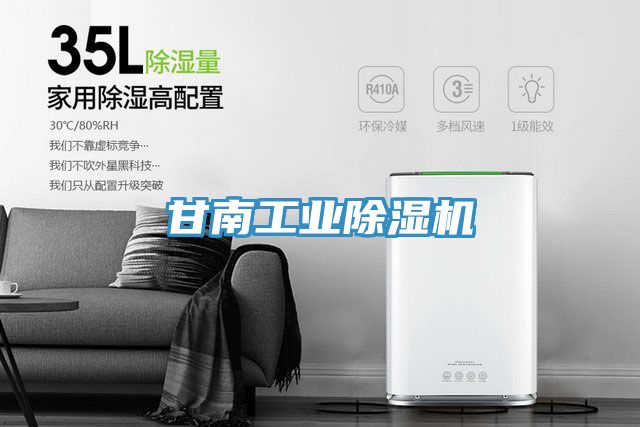 甘南工業(yè)除濕機