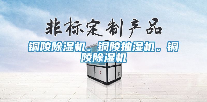 銅陵除濕機。銅陵抽濕機。銅陵除濕機