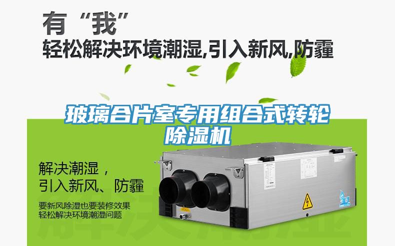 玻璃合片室專(zhuān)用組合式轉輪除濕機