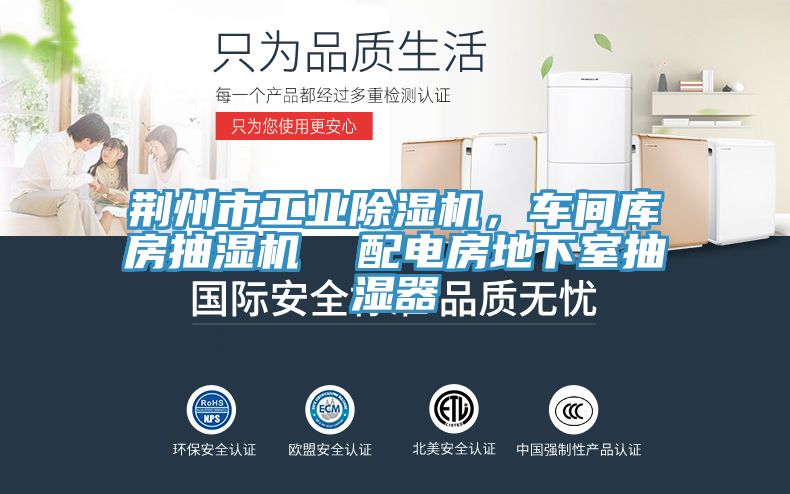 荊州市工業(yè)除濕機，車(chē)間庫房抽濕機  配電房地下室抽濕器