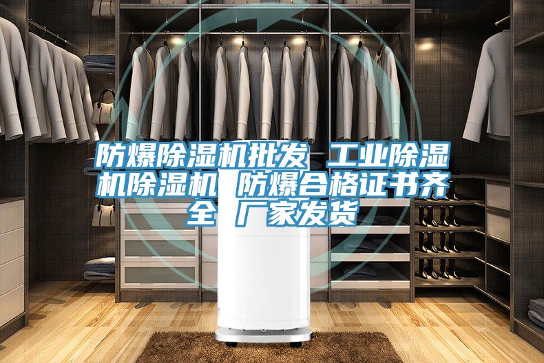 防爆除濕機批發(fā) 工業(yè)除濕機除濕機 防爆合格證書(shū)齊全 廠(chǎng)家發(fā)貨