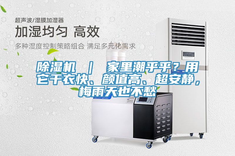 除濕機 ｜ 家里潮乎乎？用它干衣快、顏值高、超安靜，梅雨天也不愁