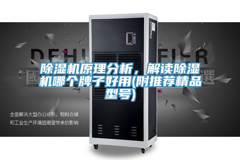 除濕機原理分析，解讀除濕機哪個(gè)牌子好用(附推薦精品型號)