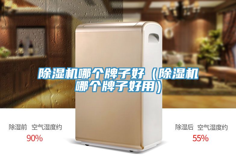 除濕機哪個(gè)牌子好（除濕機哪個(gè)牌子好用）