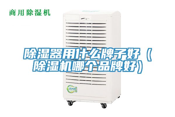 除濕器用什么牌子好（除濕機哪個(gè)品牌好）