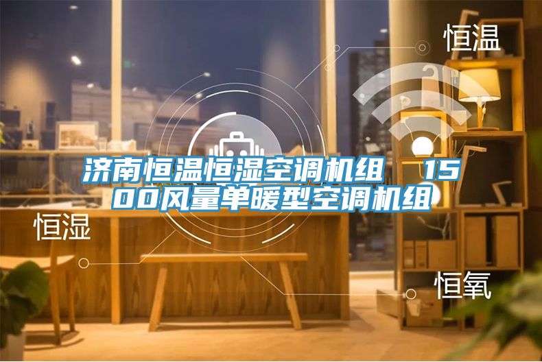 濟南恒溫恒濕空調機組  1500風(fēng)量單暖型空調機組